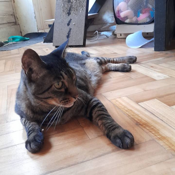 D34ee973 2a2c 46aa 869d e3e04a00ff8e 1766074654002