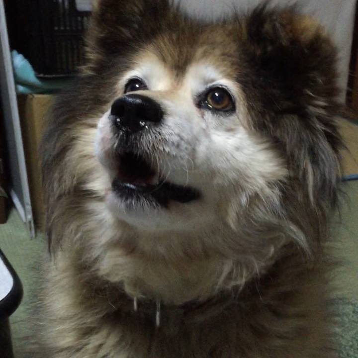 D34f1599 ecb0 4db3 950d 0c09ef6bd2f8 1604971996023