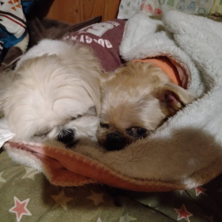 D34f3f62 c173 416a 9d54 39d3de02d462 1651374502298