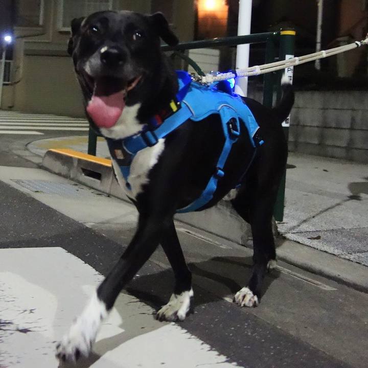 D34f4077 7e3d 42cc b3f2 f291e5fbeb18 1665830975331