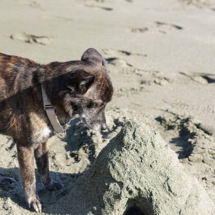 D34f45a2 20aa 4ac8 a9ea 6640fd69465b 1584979786345