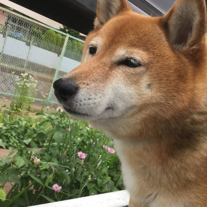 D34f50ac afc8 4631 ae2a 1fe0df586f4f 1559465168624