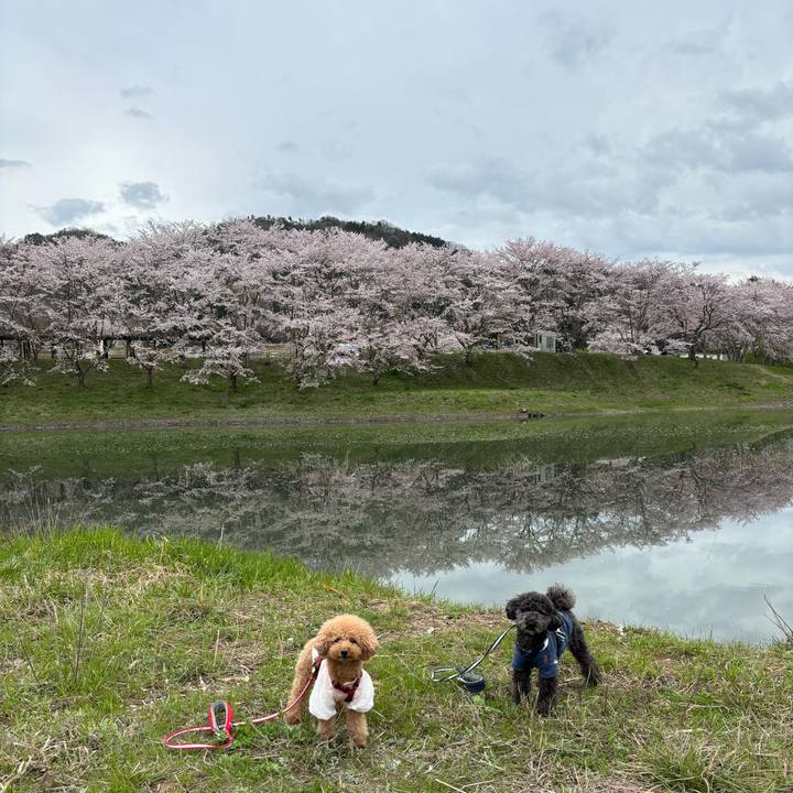 D34f5876 2c7c 4346 b583 616b4395ddac 1712912389084