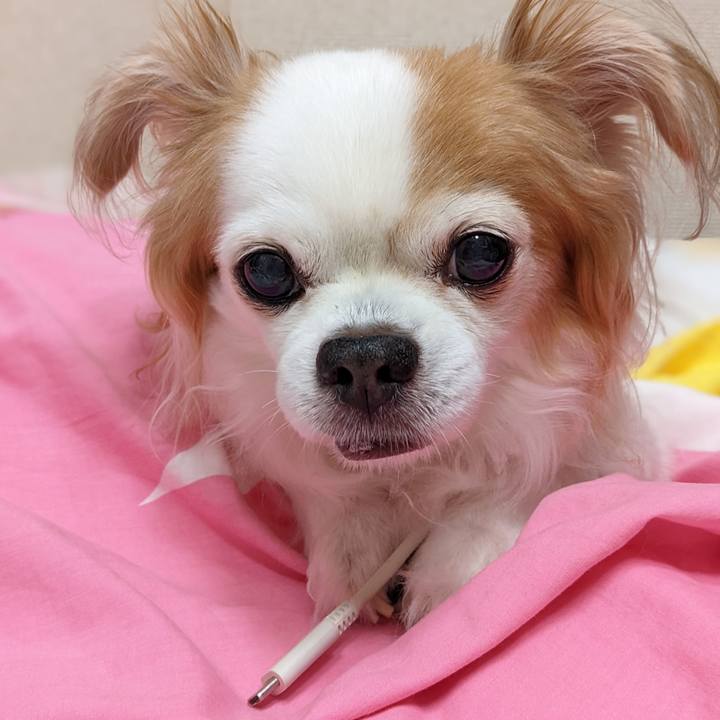 D34f5a63 0b2b 4ab6 979e 42927fc7901e 1657667899766