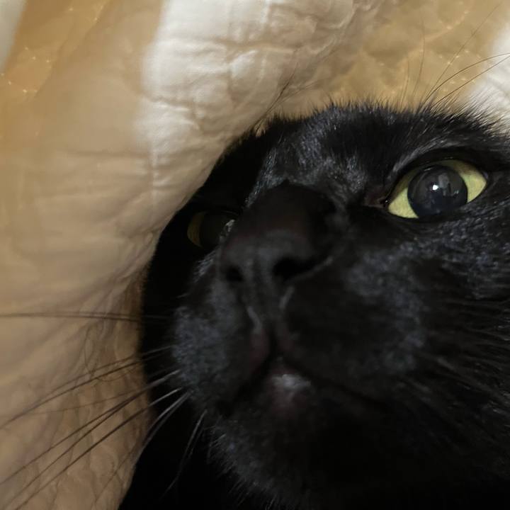 D34f77ee 610b 40f3 b4ad f7dd96d35ab9 1753963757468