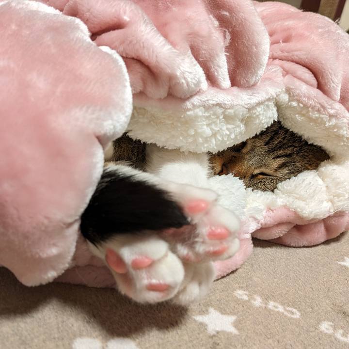 D34f8055 0b67 49c1 9520 7c81e850b0a0 1701694705937