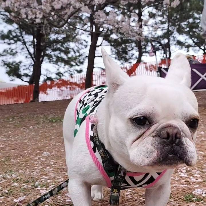 D34f8366 0cf9 4b94 ab4b 33f76af411a0 1680409017398