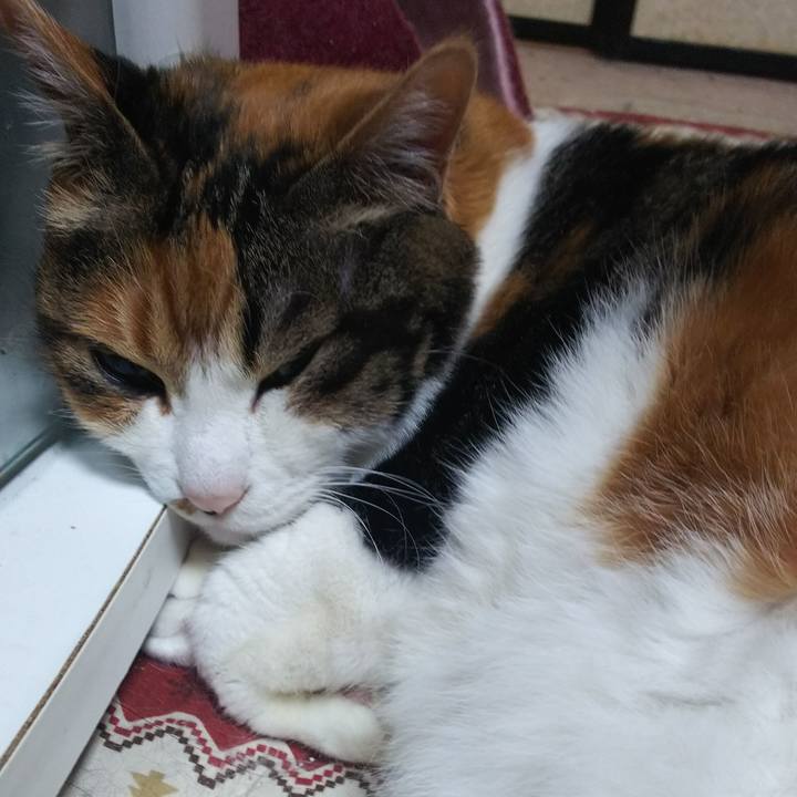 D34f8424 a523 4fc4 8c9e 593446f631f2 1558167844240