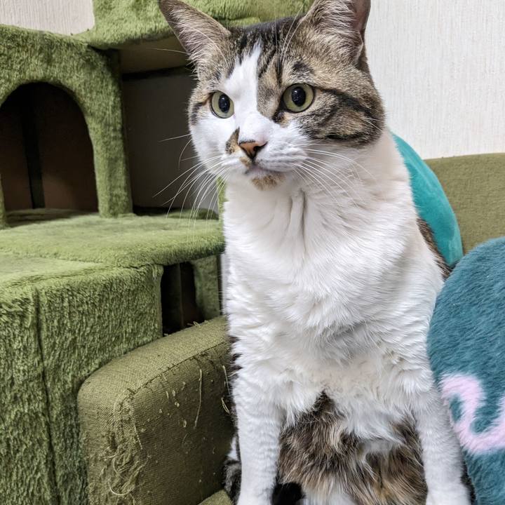 D34f8793 1a3b 4305 93e5 e2eff645b827 1710208821628