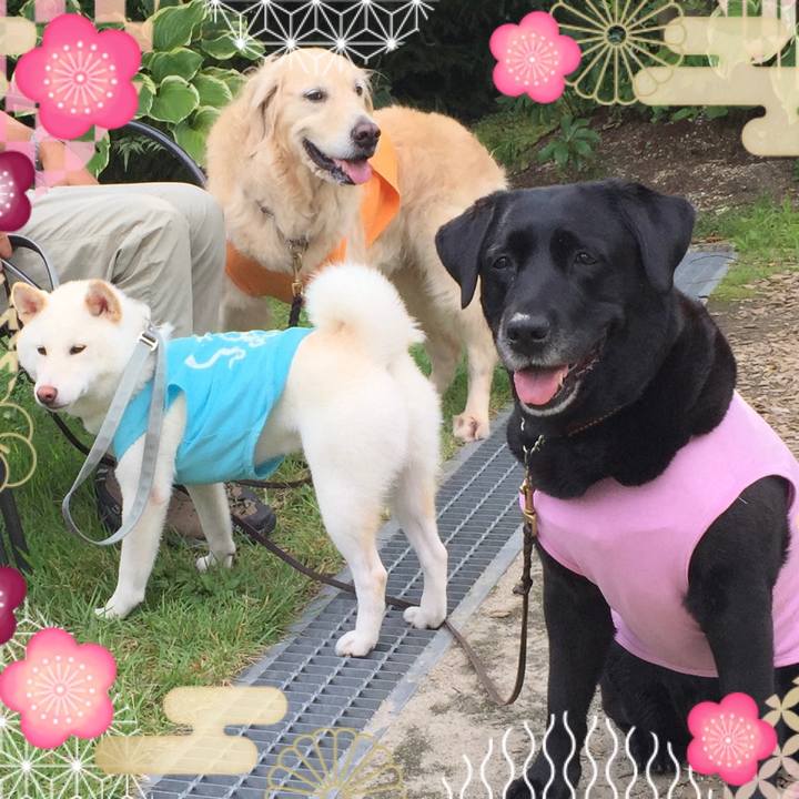 D34f995f 7957 4106 8c51 4e330ffb54e5 1704084579509