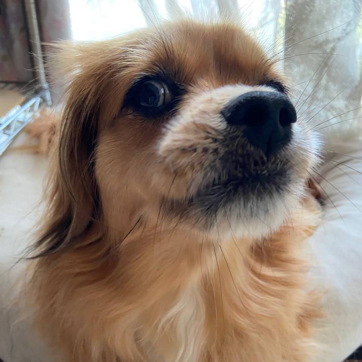 D34fc6d8 4eb8 4b1d b51f fadff0cfecfc 1620942965160