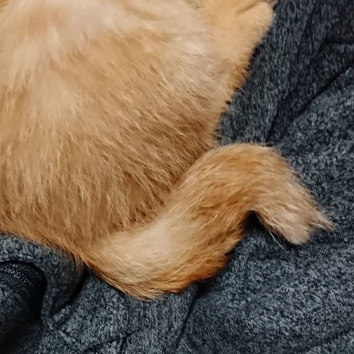 D34fd895 6338 47fe abd7 7dd565d7a78f 1629668803703