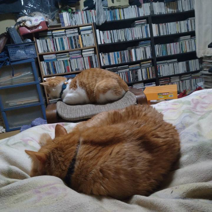 D34ff6e1 5d7b 47de 8ae2 d31cbee2c13c 1737633190416