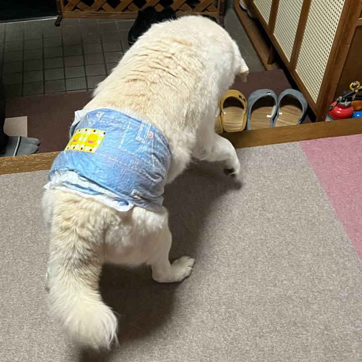 D34ffeea 7989 4051 b1a1 e7cbd1ef141e 1767150674057