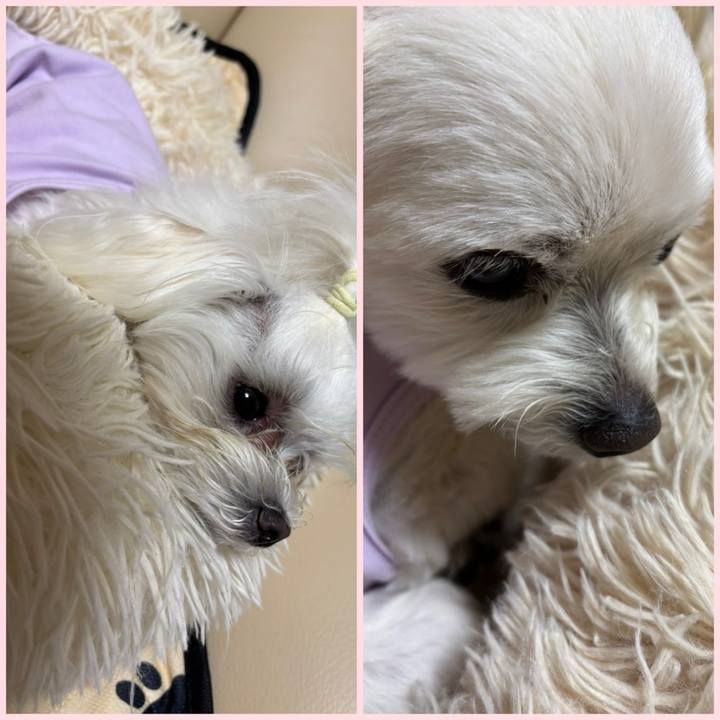 D35019c8 5d57 47af b52e 6da7ab710d9a 1747133235475