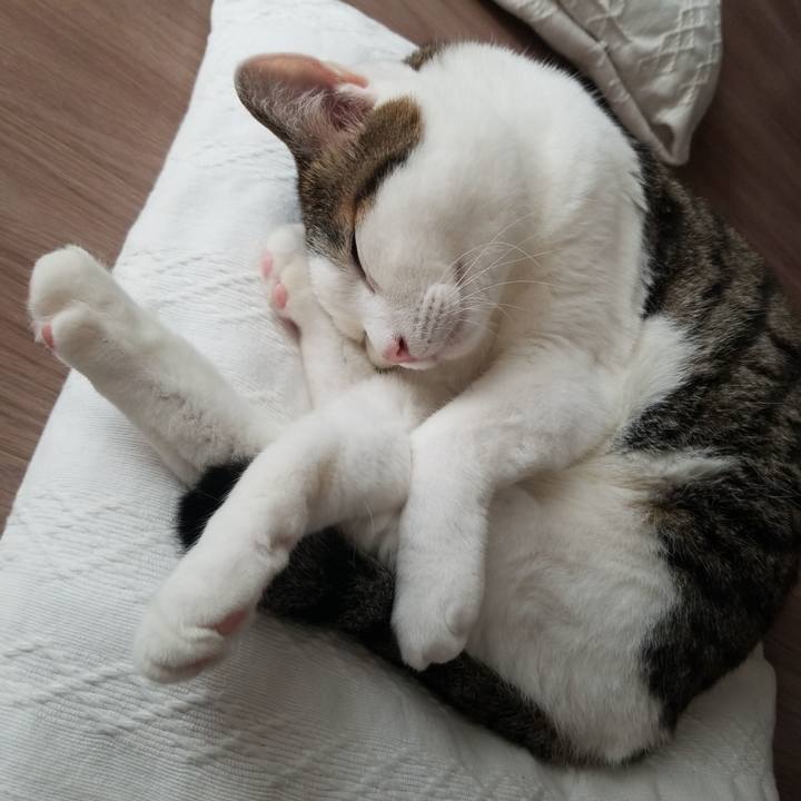 D3505be9 030b 47bf b181 285e0d7fe4b9 1562980951934