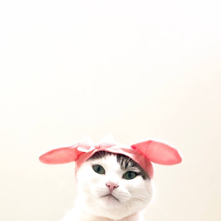 D350986b 8536 4bca a67d 06bb27a9df51 1537791737280