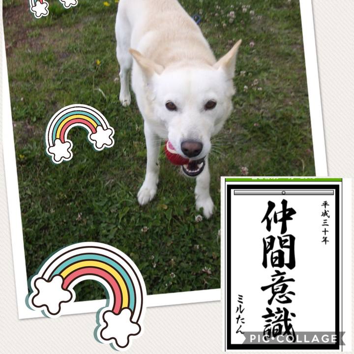 D350be8d b238 4c47 ab0d 21bde9567a65 1515157161127