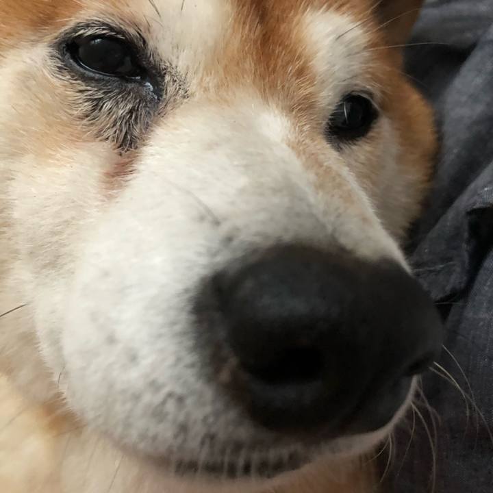 D350c3e4 26f4 4379 a55e c0085bd356e8 1570937418655