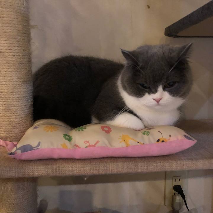 D350cfad 562a 4fa6 b362 d41e17dc0121 1550274495561