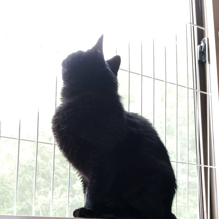 D3510022 17e7 4ec9 b841 6ad177776ab4 1561786146994