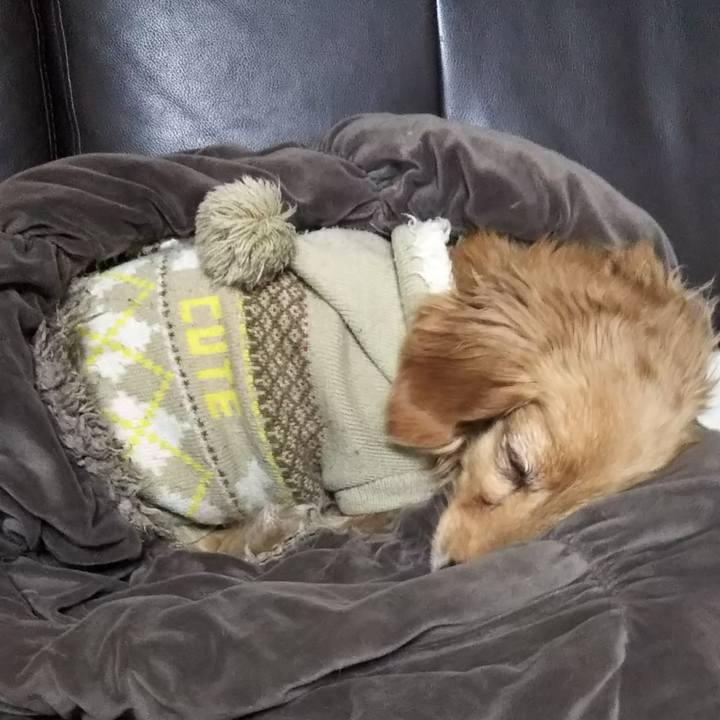 D351145a bc28 4289 ac68 63c1a5c96eed 1581080790612