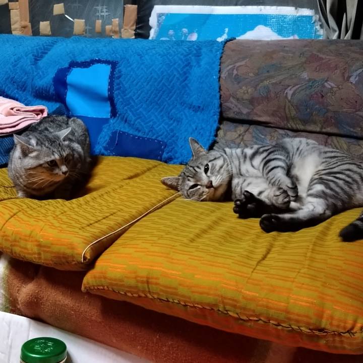 D3511903 20c1 4541 a60c be82b1395578 1673092178742