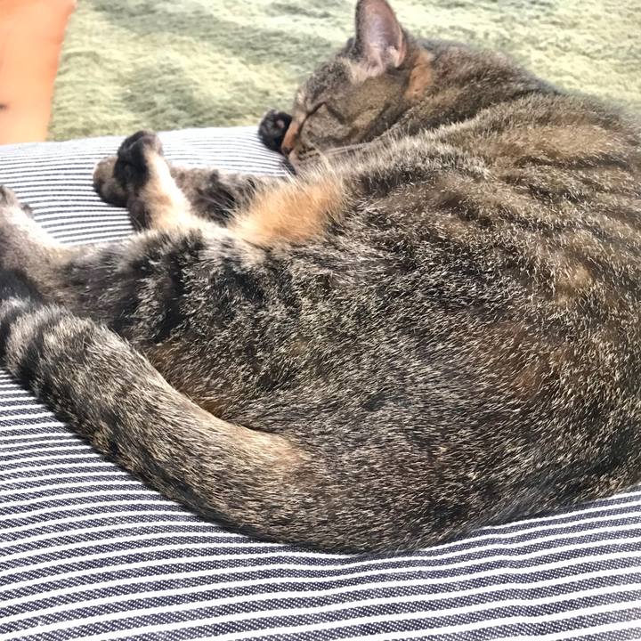 D351237b 5189 4d1c a607 7488d60e74ca 1594021779739