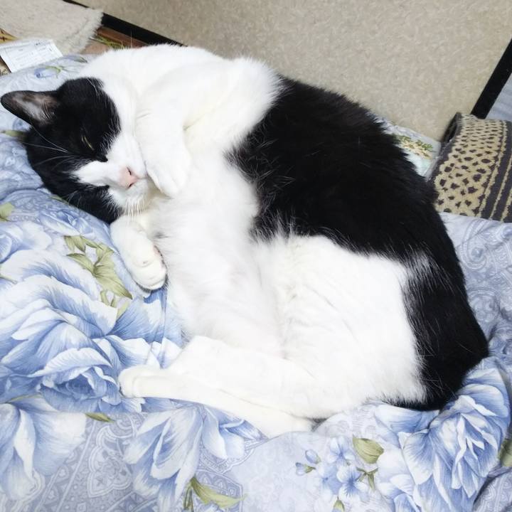 D3516a38 2da9 447e bc5c 349bda712f2c 1549541590785