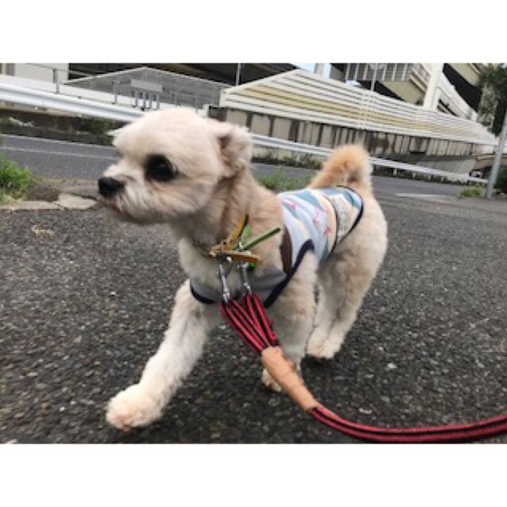 D35173c4 1912 40ae b38f 0924058d2489 1536229694906