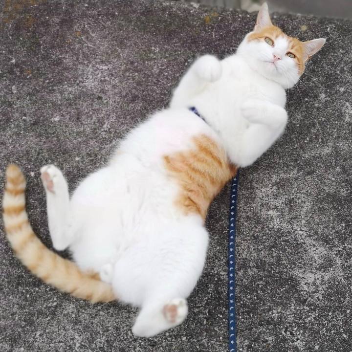 D351854d 0dc2 40df 8f6d 0435a11bca31 1531313055932