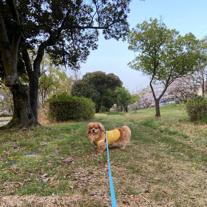 D351cd43 f94e 44e1 9cf0 6a47c11c4558 1617314141878