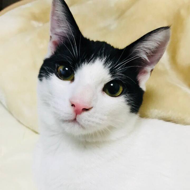 D3521370 52b1 4c8d 88c0 da6cba37339b 1509805718066