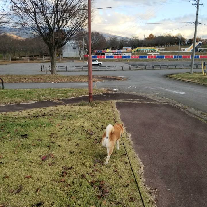 D3521dec 9543 4fa4 aaa2 28a740464289 1669013795875