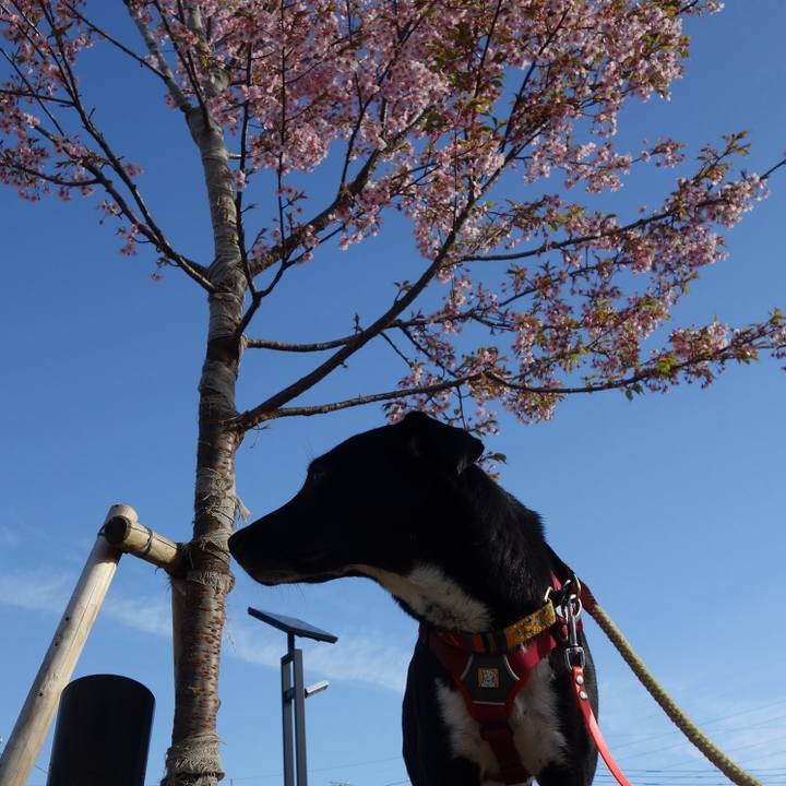 D3525fd4 906b 4c3d 9416 f733104be00b 1583198067530