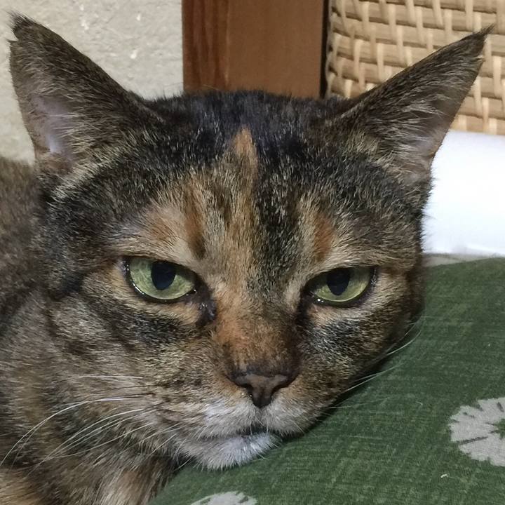 D352606f 5df8 4268 a5d5 64edd00f0b89 1517733522550