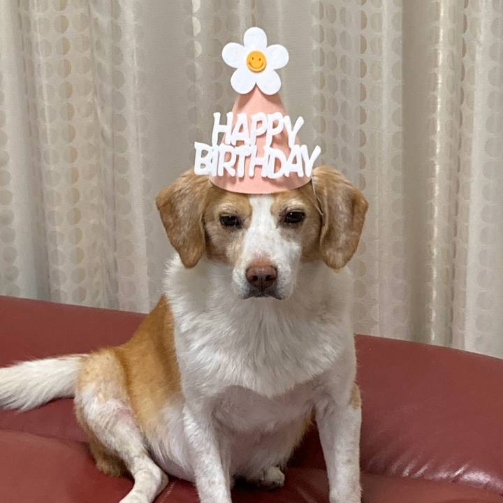 D3526d06 a7df 4bd5 8b6b 531d00c0f274 1740109755208