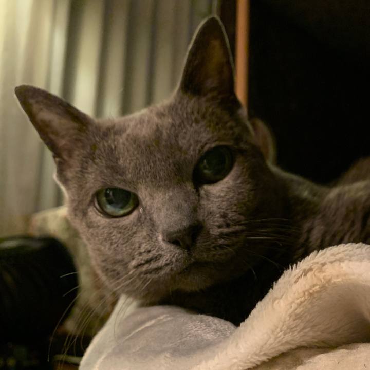 D3527ebe d519 40c5 a893 2401a1bd62da 1611406940102