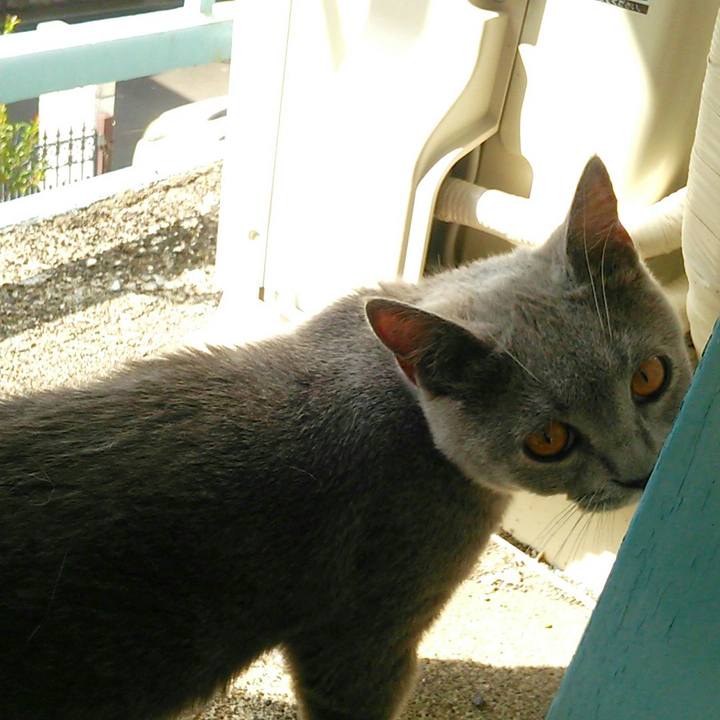 D35289ad 7e02 4ef6 98c0 13da8b3e7f6d 1537663333147