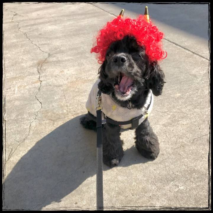 D352bc98 45cd 4787 8d8d a723516c3daf 1549164877275