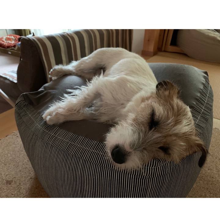 D352c9ea 745f 464d 9f1e ad42f7065f4c 1591528153781