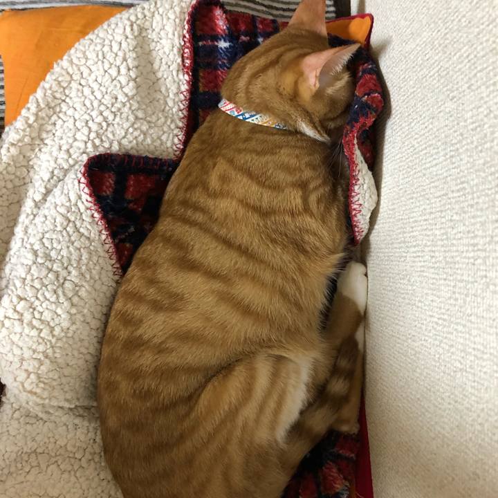 D352db87 7a16 4f05 8b49 09e30a7ecd8f 1571923389599