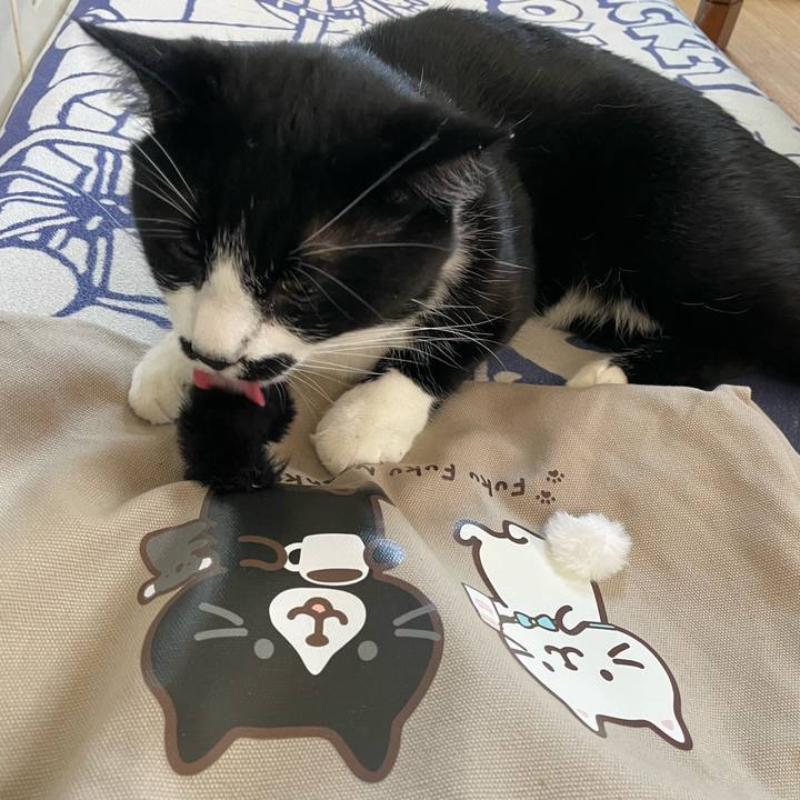 D352e209 d8e5 46c9 9ad6 117bf2243776 1656503719378