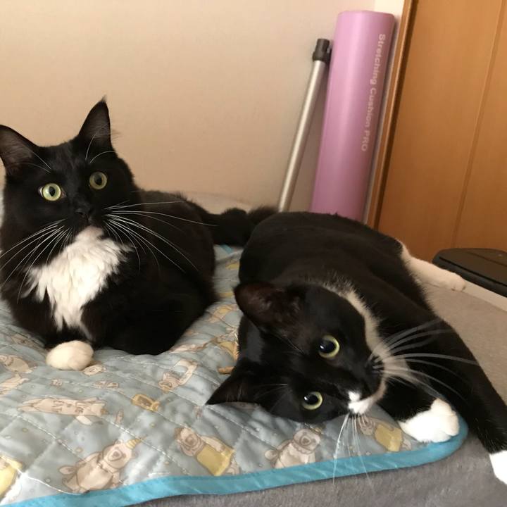 D35315e5 3dc9 4d93 88b3 dc8337d87bc8 1536536487529