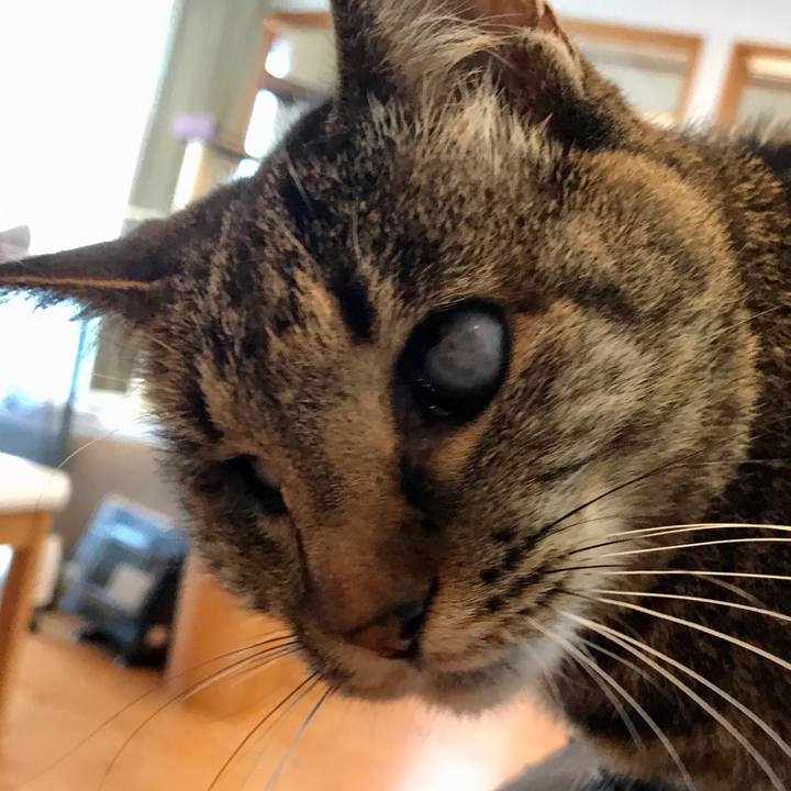 D35342c0 6b19 4421 b378 91b14385eaf7 1616460569972