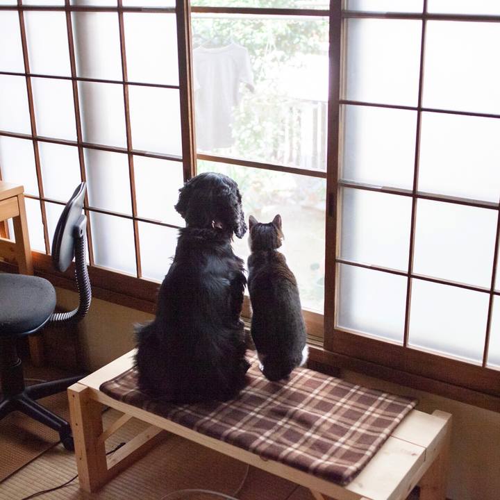 D3535eb4 b9cf 4622 9fad 31b007ebbe80 1582468442753