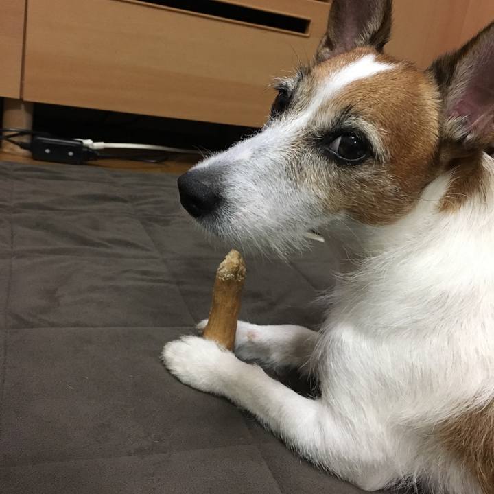 D3537024 ad36 4d63 8fc9 52b318a7b0d6 1569382500626