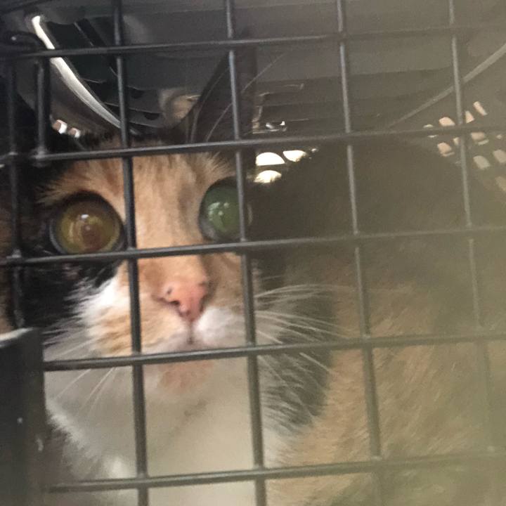 D3537255 5435 471c 9721 3a951dd10aaf 1623285775303