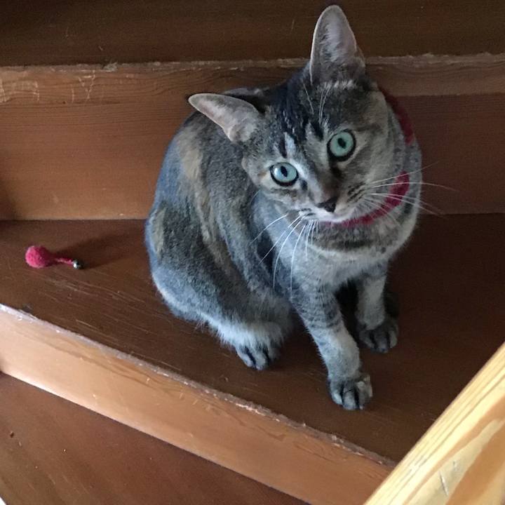 D353d42a 6bde 4301 a466 62f461dd6325 1600478620539