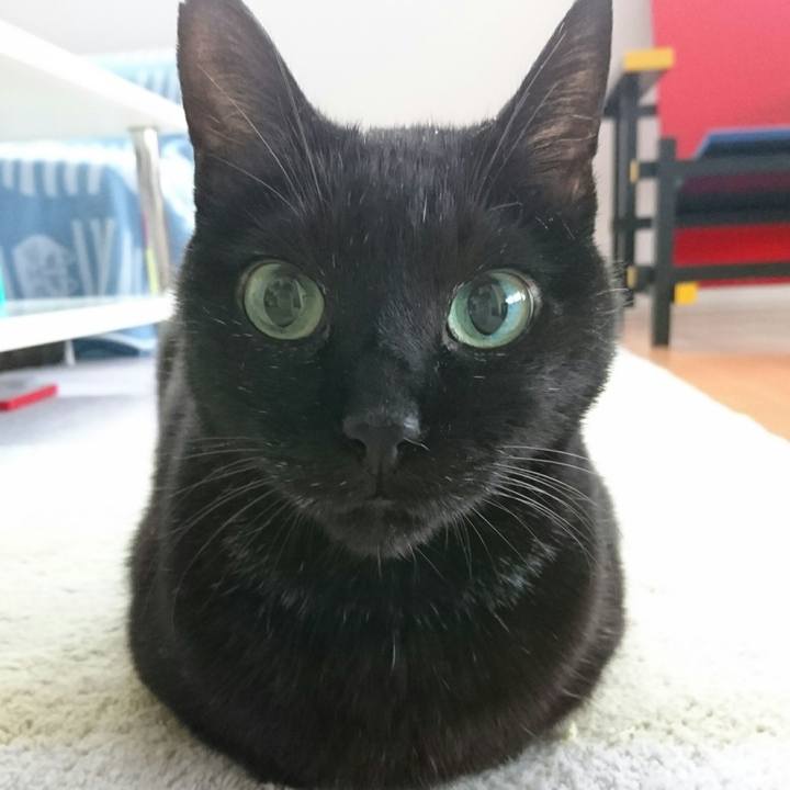 D353ffcf b95c 48bf a09a 6a6cb6499ce0 1509230611068